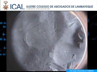 Félix Roger ESCAJADILLO CABRERA
 