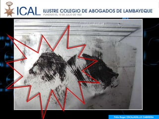 Félix Roger ESCAJADILLO CABRERA
 