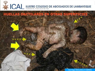 HUELLAS DACTILARES EN OTRAS SUPERFICIES




                              Félix Roger ESCAJADILLO CABRERA
 