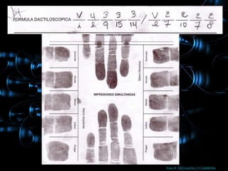 Félix R. ESCAJADILLO CABRERA
 