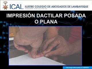 IMPRESIÓN DACTILAR POSADA
         O PLANA




                  Félix Roger ESCAJADILLO CABRERA
 