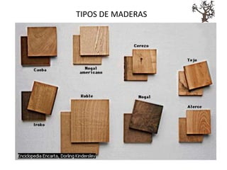TIPOS DE MADERAS
 