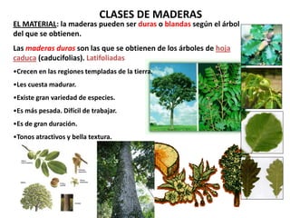 CLASES DE MADERAS
EL MATERIAL: la maderas pueden ser duras o blandas según el árbol
del que se obtienen.
Las maderas duras son las que se obtienen de los árboles de hoja
caduca (caducifolias). Latifoliadas
•Crecen en las regiones templadas de la tierra.
•Les cuesta madurar.
•Existe gran variedad de especies.
•Es más pesada. Difícil de trabajar.
•Es de gran duración.
•Tonos atractivos y bella textura.
 