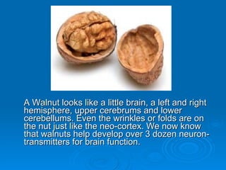 A Walnut looks like a little brain, a left and right hemisphere, upper cerebrums and lower cerebellums. Even the wrinkles or folds are on the nut just like the neo-cortex. We now know that walnuts help develop over 3 dozen neuron-transmitters for brain function. 
