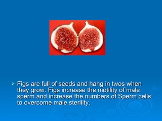 Figs are full of seeds and hang in twos when they grow. Figs increase the motility of male sperm and increase the numbers of Sperm cells to overcome male sterility. 