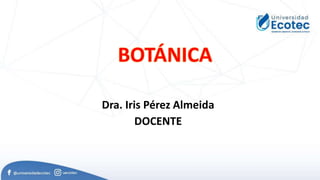 Dra. Iris Pérez Almeida
DOCENTE
 