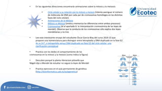 • En las siguientes direcciones encontrarás animaciones sobre la mitosis y la meisosis
• Ciclo celular y su relación con la mitosis y meiosis (intenta averiguar el número
de móleculas de DNA por cada par de cromosomas homólogos en las distintas
fases del ciclo celular)
• Animaciones de la Meiosis
• Mitosis vs Meiosis (anota y memoriza las diferencias entre ambos procesos)
• Cromosomas (id al apartado 6: la interpretación cromosómica de las leyes de
mendel). Observa que la conducta de los cromosomas sólo explica dos leyes
mendelianas y no tres
• Lee este interesante ensayo del estudiante Óscar García Blay del curso 2014-15 que
propone una nomenclatura para distinguir entre tetroplodía y DNA duplicado en la fase G2
4n vs 2n2c, o tetrapolidía versus DNA duplicado en fase G2 del ciclo celular: una
clarificación conceptual
• Practica con los dedos el comportamiento de los
cromosomas en la mitosis y la meiosis (como indica la figura)
• Descubre porqué la planta Hieracium pilosella que
Nägeli dijo a Mendel de estudiar no seguía la leyes de Mendel
• Practica ejercicios en el aula permanente de genética
(http://bioinformatica.uab.es/aulagenetica)
 