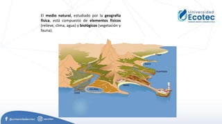 El medio natural, estudiado por la geografía
física, está compuesto de elementos físicos
(relieve, clima, agua) y biológicos (vegetación y
fauna).
 