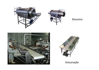 Descama

Evisceração

 