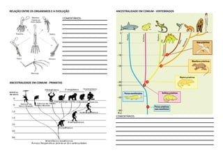 RELAÇÃO ENTRE OS ORGANSMOS E A EVOLUÇÃO             ANCESTRALIDADE EM COMUM - VERTEBRADOS

                                     COMENTÁRIOS:




ANCESTRALIDADE EM COMUM - PRIMATAS




                                                    COMENTÁRIOS:
 