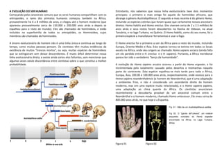A EVOLUÇÃO DO SER HUMANO                                                              Entretanto, nós sabemos que nossa linha evolucionária teve dois momentos
Começando pelos ancestrais comuns que os seres humanos compartilham com os            principais: o primeiro e mais antigo foi aquele do hominídeo africano, que
antropoides, o ramo dos primatas humanos começou também na África,                    abrange o gênero Australopithecus. O segundo e mais recente é do gênero Homo,
provavelmente há 6 a 8 milhões de anos, e chegou até o homem moderno (que             incluindo as espécies extintas que foram quase que certamente nossos ancestaris
apareceu provavelmente cerca de 150.000 a 200.000 anos atrás e depois se              diretos: Homo habilis and Homo erectus. Eles viveram cerca de 2 a 2.5 milhões de
espalhou para o resto do mundo). Eles são chamados de hominídeos, e estão             anos atrás e seus restos foram descobertos na Ravina de Olduvai, na atual
incluídos na superfamília de todos os antropóides, os Hominoidea, cujos               Tanzânia, e no lago Turkana, no Quênia. O Homo habilis, como diz seu nome, foi a
membros são chamados de hominoides.                                                   primeira espécie a manufaturar ferramentas e usar o fogo.

A árvore evolucionária do homem não é uma linha única e contínua ao longo do          O Homo erectus foi o primeiro a sair da África para o resto do mundo, incluindo
tempo, como muitas pessoas pensam. Os cientistas têm muitas evidências da             Europa, Oriente Médio e Ásia. Esta espécie tornou-se extinta em todos os locais
existência de muitos "troncos mortos", ou seja, muitas espécies de hominídeos         exceto na África, onde deu origem ao chamado Homo sapiens arcaico (ainda falta
que se extingüiram sem deixar descendentes. É muito difícil determinar nossa          um elo perdido entre o H. erectus e o H. sapiens). Portanto, a África meridional
linha evolucionária direta, e existe ainda vários elos faltantes, sem mencionar que   parece ter sido o verdadeiro "berço da humanidade".
algumas vezes existe discordância entre cientistas sobre o que constitui a melhor
probabilidade.                                                                        A evolução do Homo sapiens arcaico ocorreu a partir do Homo ergaster, e foi
                                                                                      incrementada pelo isolamento causado pelos desertos e montanhas naquela
                                                                                      parte do continente. Esta espécie espalhou-se mais tarde para toda a África,
                                                                                      Europa, Ásia, 200.00 e 100.000 anos atrás, respectivamente, onde evoluiu para o
                                                                                      Homo sapiens neanderthalensis (o homem de Neanderthal, que é uma adaptação
                                                                                      a ambientes frios, e não é considerado um ascendente direto do homem
                                                                                      moderno, mas sim uma espécie muito relacionada), e o Homo sapiens sapiens,
                                                                                      uma adaptação ao clima quente da África. Os cientistas anunciaram
                                                                                      recentemente a descoberta provável de um ancestral comum entre o
                                                                                      Neanderthal e o homem moderno, chamado Homo antecessor. Ele viveu cerca de
                                                                                      800.000 anos atrás, no que hoje é a Espanha.

                                                                                                                                  Fig. 01 - Mão de um Australopithecus sediba.

                                                                                                                                  Fig 02. O "garoto deTurkana", um notável
                                                                                                                                  esqueleto completo do Homo ergaster
                                                                                                                                  encontrado na África, no Lago Turkana,
                                                                                                                                  Africa.




                                                                                      Figura 01               Figura 02
 