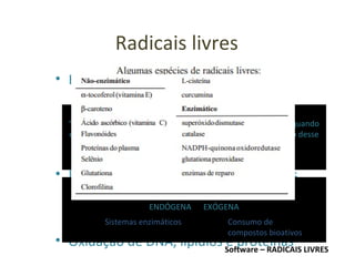 Radicais livres
• EROs e ERNs
– Funções essenciais: sinalização celular e
defesa imunológica, biologia reprodutiva
– Concentrações suprafisiológicas são
deletérias – oxidação de moléculas e
processos patológicos
• Envolvidos na etiopatogênese de mais
de 100 doenças
– Diabetes, cardiomiopatias, câncer,
Alzheimer, oftalmopatias
• Oxidação de DNA, lipídios e proteínas
Proteção antioxidante
ENDÓGENA EXÓGENA
Sistemas enzimáticos Consumo de
compostos bioativos
Software – RADICAIS LIVRES
Definição de antioxidante
“qualquer substância que, presente em baixas concentrações quando
comparada a do substrato oxidável, atrasa ou inibe a oxidação desse
substrato de maneira eficaz”
 