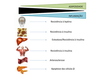 HOMEOSTASE
ADIPOSIDADE
INFLAMAÇÃO
Resistência à leptina
Resistência à insulina
Esteatose/Resistência à insulina
Resistência à insulina
Arterosclerose
Apoptose das células β
 