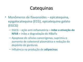 Catequinas
• Monômeros de flavonoides – epicatequina,
epigalocatequina (ECG), epicatequina galato
(EGCG)
– EGCG – ação anti-inflamatória – inibe a ativação do
NFkB + inibe a degradação do IKBalfa
– Apoptose de células cancerígenas, suprimiu o
aumento de colesterol plasmático e redução do
depósito de gorduras
– Influência na produção de adipocinas
 