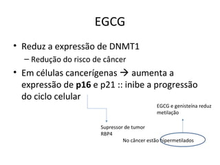 EGCG
• Reduz a expressão de DNMT1
– Redução do risco de câncer
• Em células cancerígenas  aumenta a
expressão de p16 e p21 :: inibe a progressão
do ciclo celular
Supressor de tumor
RBP4
No câncer estão hipermetilados
EGCG e genisteína reduz
metilação
 
