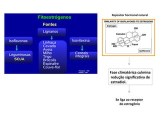 Fase climatérica culmina
redução significativa de
estradiol.
Repositor hormonal natural
Se liga ao receptor
do estrogênio
 