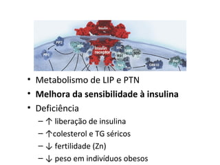 • Metabolismo de LIP e PTN
• Melhora da sensibilidade à insulina
• Deficiência
– ↑ liberação de insulina
– ↑colesterol e TG séricos
– ↓ fertilidade (Zn)
– ↓ peso em indivíduos obesos
 