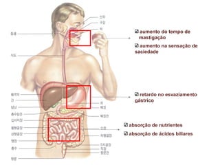 aumento do tempo de
mastigação
aumento na sensação de
saciedade
retardo no esvaziamento
gástrico
absorção de nutrientes
absorção de ácidos biliares
 