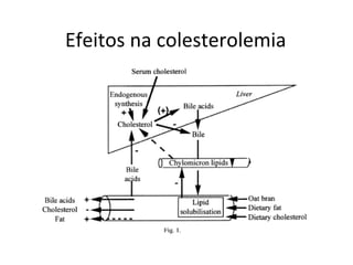 Efeitos na colesterolemia
 
