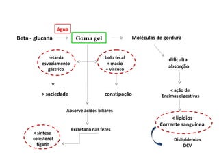 Goma gelBeta - glucana Moléculas de gordura
água
retarda
esvaziamento
gástrico
bolo fecal
+ macio
+ viscoso
> saciedade constipação
dificulta
absorção
< ação de
Enzimas digestivas
< lipídios
Corrente sanguínea
Dislipidemias
DCV
Absorve ácidos biliares
Excretado nas fezes
< síntese
colesterol
fígado
 