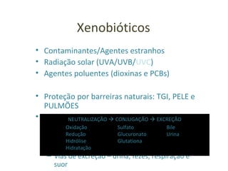 Xenobióticos
• Contaminantes/Agentes estranhos
• Radiação solar (UVA/UVB/UVC)
• Agentes poluentes (dioxinas e PCBs)
• Proteção por barreiras naturais: TGI, PELE e
PULMÕES
• Sistema desintoxicantes
– Sistema imunológico (GALT)
– Sistema enzimático do fígado – citocromo
P450
– Vias de excreção – urina, fezes, respiração e
suor
NEUTRALIZAÇÃO  CONJUGAÇÃO  EXCREÇÃO
Oxidação
Redução
Hidrólise
Hidratação
Sulfato
Glucuronato
Glutationa
Bile
Urina
 