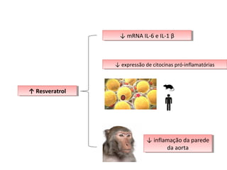 ↓ mRNA IL-6 e IL-1 β↓ mRNA IL-6 e IL-1 β
↑ Resveratrol↑ Resveratrol
↓ expressão de citocinas pró-inflamatórias↓ expressão de citocinas pró-inflamatórias
↓ inflamação da parede
da aorta
↓ inflamação da parede
da aorta
 