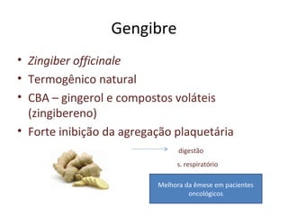 Gengibre
• Zingiber officinale
• Termogênico natural
• CBA – gingerol e compostos voláteis
(zingibereno)
• Forte inibição da agregação plaquetária
digestão
s. respiratório
Melhora da êmese em pacientes
oncológicos
 