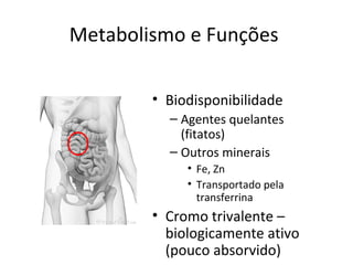 Metabolismo e Funções
• Biodisponibilidade
– Agentes quelantes
(fitatos)
– Outros minerais
• Fe, Zn
• Transportado pela
transferrina
• Cromo trivalente –
biologicamente ativo
(pouco absorvido)
 