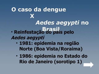 O caso da dengue  X  Aedes aegypti  no Brasil  Reinfestação do país pelo  Aedes aegypti  1981: epidemia na região Norte (Boa Vista/Roraima)  1986: epidemia no Estado do  Rio de Janeiro (sorotipo 1)  