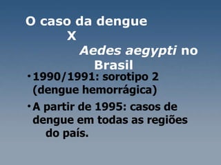1990/1991: sorotipo 2 (dengue hemorrágica)  A partir de 1995: casos de dengue em todas as regiões  do país.  O caso da dengue  X  Aedes aegypti  no Brasil  