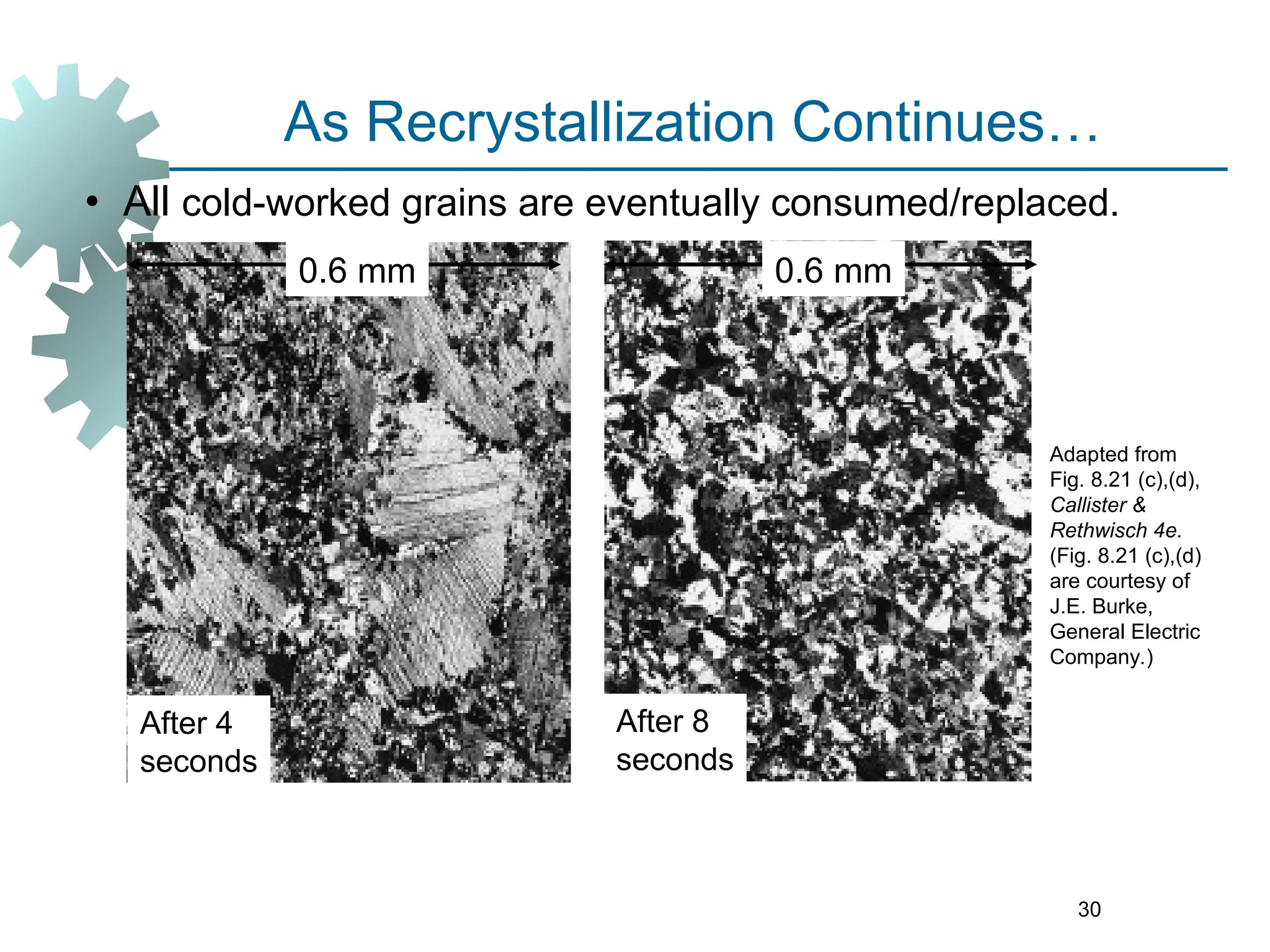 30
• All cold-worked grains are eventually consumed/replaced.
Adapted from
Fig. 8.21 (c),(d),
Callister &
Rethwisch 4e.
(Fig. 8.21 (c),(d)
are courtesy of
J.E. Burke,
General Electric
Company.)
After 4
seconds
After 8
seconds
0.6 mm
0.6 mm
As Recrystallization Continues…
 