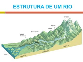 ESTRUTURA DE UM RIO
 