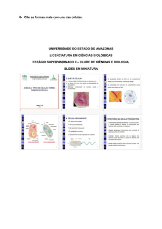 6- Cite as formas mais comuns das células.
UNIVERSIDADE DO ESTADO DO AMAZONAS
LICENCIATURA EM CIÊNCIAS BIOLÓGICAS
ESTÁGIO SUPERVISIONADO II – CLUBE DE CIÊNCIAS E BIOLOGIA
SLIDES EM MINIATURA
 