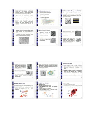 Plano de aula completo Citologia: Tipos e formas de células 