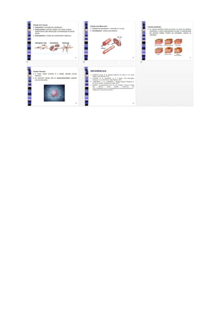 Plano de aula completo Citologia: Tipos e formas de células 