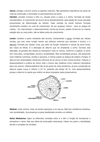 propriedades da Madeira ( resistência, anisotropia e higrosc by