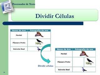 Processador de Texto




                            Dividir Células




                             Dividir células

10
 