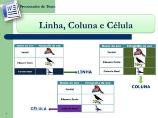 Processador de Texto




              Linha, Coluna e Célula



                           LINHA


                                   COLUNA




          CÉLULA
7
 