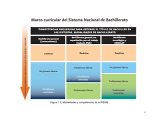 Figura 1.6. Modalidades y competencias de la RIEMS



                                                     12
 