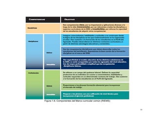 Figura 1.8. Componentes del Marco curricular común (RIEMS)


                                                             14
 