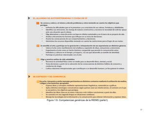 Figura 1.9. Competencias genéricas de la RIEMS (parte1)


                                                          15
 