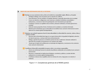 Figura 1.11. Competencias genéricas de la RIEMS (parte3)



                                                           17
 