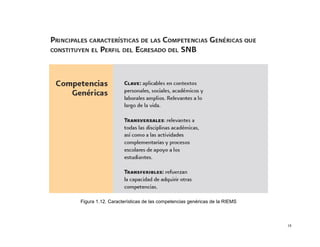 Figura 1.12. Características de las competencias genéricas de la RIEMS



                                                                         18
 
