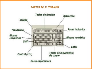 PARTES DE El TECLADO 