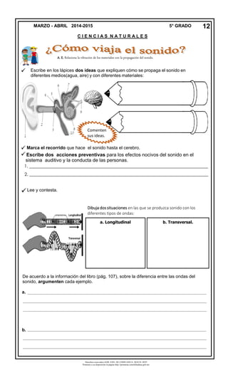 Derechos reservados GOB. EDO. DE CHIHUAHUA. SEECH. MTP
Ponemos a su disposición la página http://primarias.cetechihuahua.gob.mx
A. E. Relaciona la vibración de los materiales con la propagación del sonido.

 Marca el recorrido que hace el sonido hasta el cerebro.
Escribe dos acciones preventivas para los efectos nocivos del sonido en el
sistema auditivo y la conducta de las personas.
1. ________________________________________________________________________________
2. ________________________________________________________________________________
Lee y contesta.
MARZO - ABRIL 2014-2015 5° GRADO
C I E N C I A S N A T U R A L E S
12
Escribe en los lápices dos ideas que expliquen cómo se propaga el sonido en
diferentes medios(agua, aire) y con diferentes materiales:
Dibuja dos situaciones en las que se produzca sonido con los
diferentes tipos de ondas:
De acuerdo a la información del libro (pág. 107), sobre la diferencia entre las ondas del
sonido, argumenten cada ejemplo.
a. ________________________________________________________________________________________________
___________________________________________________________________________________________________
___________________________________________________________________________________________________
b. ________________________________________________________________________________________________
___________________________________________________________________________________________________
___________________________________________________________________________________________________
a. Longitudinal b. Transversal.
Comenten
sus ideas.
en grupo.
 