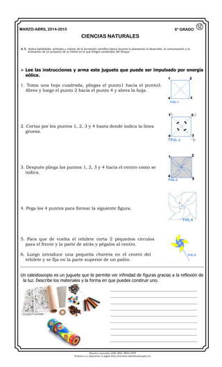 Derechos reservados GOB. EDO. SEECH MTP
Ponemos a su disposición la página http://primarias.cetechihuahua.gob.mx
MARZO-ABRIL 2014-2015
CIENCIAS NATURALES
6° GRADO
 Lee las instrucciones y arma este juguete que puede ser impulsado por energía
eólica.
1. Toma una hoja cuadrada, pliegas el punto1 hacia el punto3.
Abres y luego el punto 2 hacia el punto 4 y abres la hoja.
2. Cortas por los puntos 1, 2, 3 y 4 hasta donde indica la línea
gruesa.
3. Después pliega los puntos 1, 2, 3 y 4 hacia el centro como se
indica.
4. Pega los 4 puntos para formar la siguiente figura.
5. Para que de vuelta el rehilete corta 2 pequeños círculos
para el frente y la parte de atrás y pégalos al centro.
6. Luego introduce una pequeña chaveta en el centro del
rehilete y se fija en la parte superior de un palito.
Un caleidoscopio es un juguete que te permite ver infinidad de figuras gracias a la reflexión de
la luz. Describe los materiales y la forma en que puedes construir uno.
⑫
A. E. Aplica habilidades, actitudes y valores de la formación científica básica durante la planeación el desarrollo, la comunicación y la
evaluación de un proyecto de su interés en el que integra contenidos del bloque.
________________________________________________
________________________________________________
________________________________________________
________________________________________________
________________________________________________
________________________________________________
________________________________________________
________________________________________________
________________________________________________
1
4
3
2
 