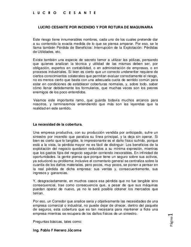 El Seguro De Lucro Cesante