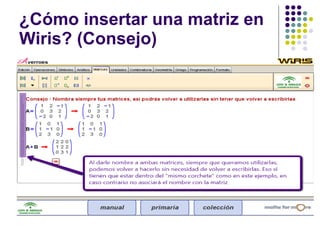 ¿Cómo insertar una matriz en Wiris? (Consejo) 