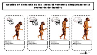 Escribe en cada una de las líneas el nombre y antigüedad de la
evolución del hombre
13
 