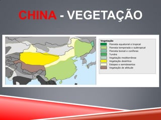 CHINA - VEGETAÇÃO
 